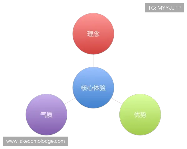 深入分析www.kaiyun.com平台的核心优势与用户体验,为您的企业发展提供专业建议和实用指南