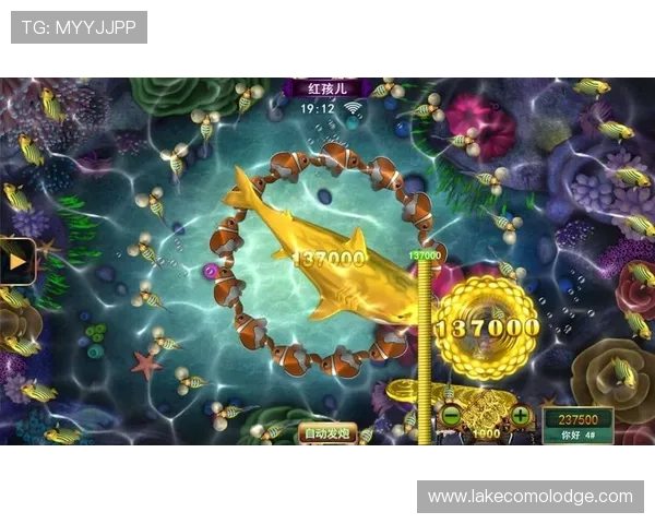开云Kaiyun电脑版官网分享玩家心得与游戏社区互动交流平台