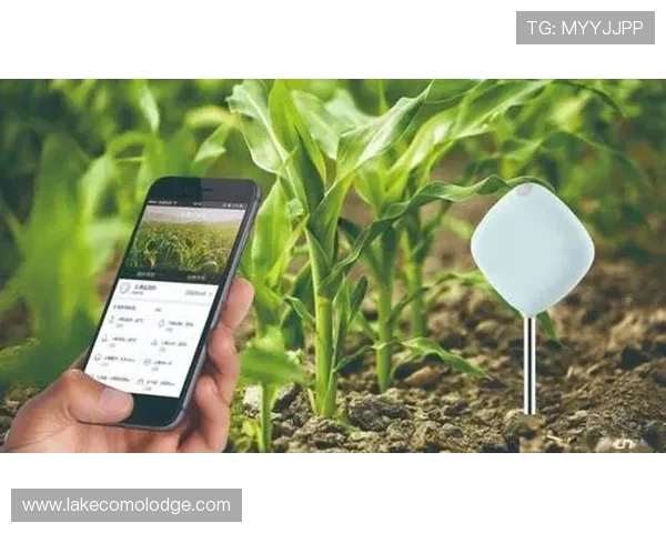 开云体育注册账号安全保障措施确保用户信息安全与账号安全的实用技巧